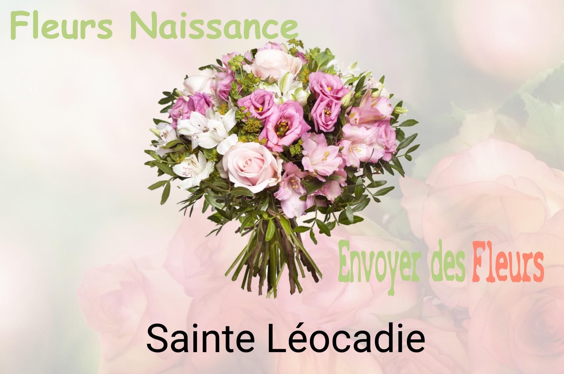 Bouquet de fleurs de naissance livré à Sainte-Léocadie
